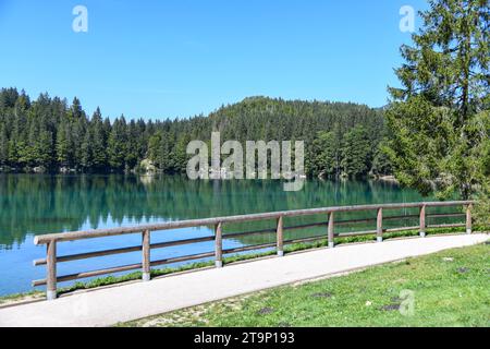 Une clôture en bois gardant une entrée aux couleurs émeraude du lac Laghi di Fusine Inferiore Banque D'Images