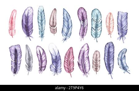 Ensemble aquarelle de plumes d'oiseau isolé sur blanc. Plume d'oiseau dessinée à la main pour la conception d'impression, les textiles et d'autres produits Banque D'Images