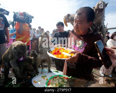 Lopburi, Thaïlande. 26 novembre 2023. Les singes mangent des fruits en s’accrochant à Yongyuth Kitwatanusont qui organise le festival annuel de la fête des singes, au temple Phra Prang Sam Yot dans la province de Lopburi, au nord de Bangkok. (Photo de Chaiwat Subprasom/SOPA Images/Sipa USA) crédit : SIPA USA/Alamy Live News Banque D'Images