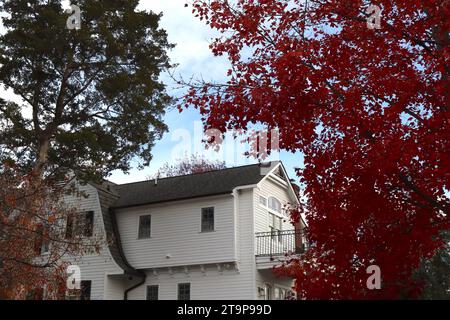 Automne feuillage contre blanc extérieur de la maison magnifiquement conçue Banque D'Images