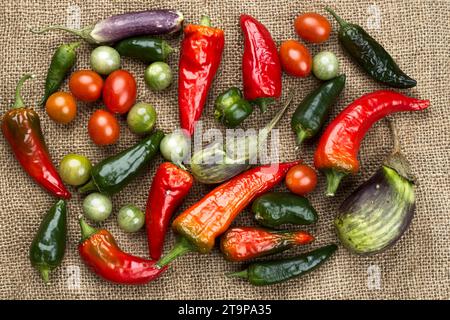 Une photo à plat de légumes assortis composés d'aubergines, de poivrons et de tomates cerises sur toile de jute. Banque D'Images