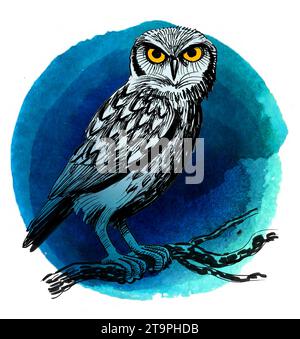Hibou oiseau sur une branche d'arbre. Croquis à l'encre et à l'aquarelle dessinés à la main Banque D'Images