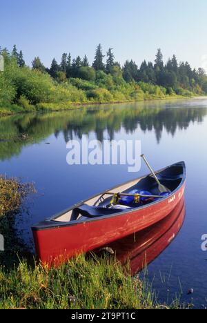 Willamette River canoe, Willamette River Greenway, Polk County, Oregon Banque D'Images