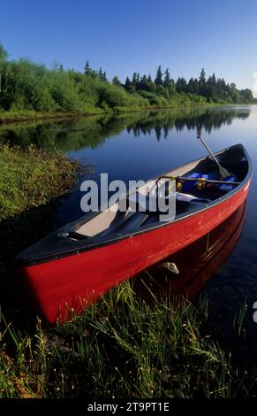 Willamette River canoe, Willamette River Greenway, Polk County, Oregon Banque D'Images