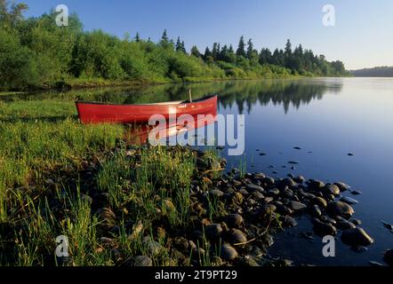 Willamette River canoe, Willamette River Greenway, Polk County, Oregon Banque D'Images