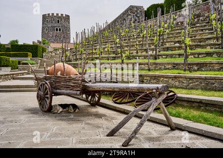 Alter Karren mit einem Quevri, Kwewri, Weinberg der Burganlage Rabati, Schloss von Achalziche, Akhaltsikhe, Samzche-Dschawachetien, Georgien Banque D'Images