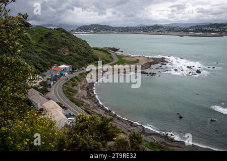 Maisons et route à côté de la plage, Breaker Bay, Wellington, Île du Nord, Nouvelle-Zélande Banque D'Images