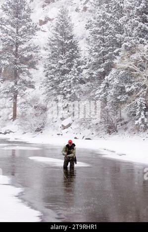 Un homme pêche à la mouche dans une tempête de neige sur la rivière cache la poudre, fort Collins, Colorado. Banque D'Images