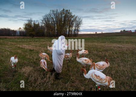 Sortie automne direct Banque D'Images