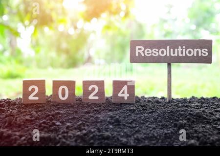 Objectif de vie du nouvel an 2024, résolution et nouveau concept de priorités. Blocs de bois dés sur un fond naturel au lever du soleil du matin. Banque D'Images