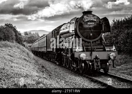 Le Flying Scotsman approche de Roebuck Lane sur le West Somerset Railway. Banque D'Images