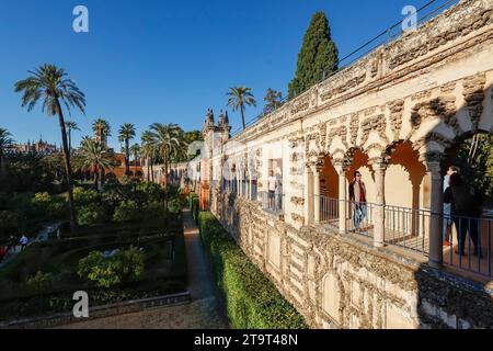 En fin d’après-midi, soleil sur le Galer’a de Grutesco et le jardin des dames du Real Alcazar et le jardin des dames, Séville, Andalousie, Espagne, Europe. Banque D'Images