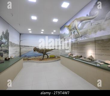 Ville : Marilia, São Paulo, Brésil - 27 octobre 2022 : intérieur du Musée de Palenologie dans la ville de Marília, São Paulo, Brésil, nouvellement ouvert avec Banque D'Images