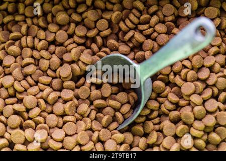 Nourriture pour animaux avec pelle pour servir. aliment pour animaux. Banque D'Images