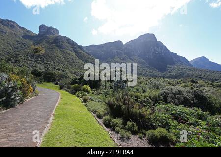 Vue générale de la montagne de la Table depuis les jardins de Kirstenbosch au Cap, Afrique du Sud Banque D'Images