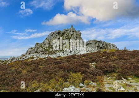 Manstone Rock à Stiperstones Hills, Shropshire, Angleterre, Royaume-Uni Banque D'Images