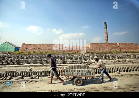 Ziegelstein Herstellung à Dhaka, Bangladesh le Bangladesh connaît une urbanisation rapide. L’urbanisation rapide génère une demande massive de briques car c’est l’un des ingrédients clés pour construire des structures en béton. Pour répondre à ce besoin croissant, le nombre de champs de fabrication de briques a augmenté à un rythme alarmant au Bangladesh. La plupart d'entre elles ont lieu dans des terres agricoles, ce qui entraîne une réduction de la production agricole, et la combustion du charbon provoque d'énormes émissions de dioxyde de carbone CO2 qui est principalement responsable du changement climatique. Le 27 novembre 2023 à Dhaka, Bangladesh. La plupart des ouvriers Banque D'Images