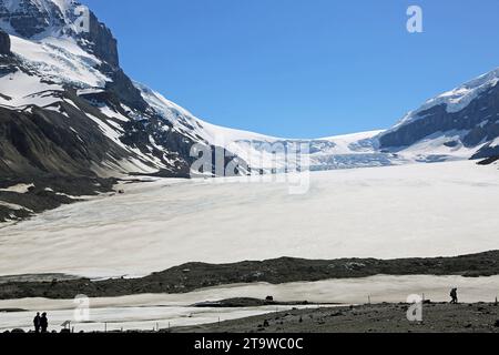 Moraine terminale du glacier Athabasca, Canada Banque D'Images