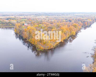 Forêt AÉRIENNE dans des tons d'automne étonnants avec la route se cachant sous la cime des arbres. Cime des arbres de forêt avec des feuilles colorées vives en saison d'automne. Couleurs éblouissantes p Banque D'Images