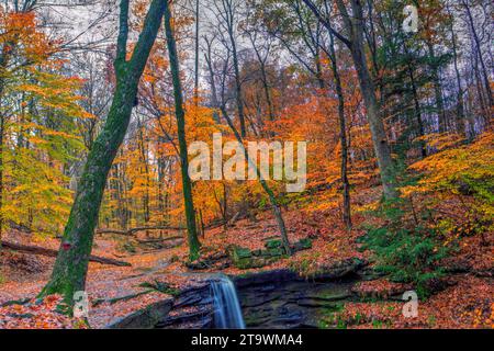 Vue sur Dundee Falls en automne, Beach City Wilderness Area, Ohio Banque D'Images