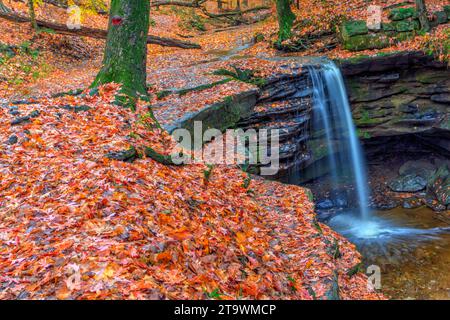 Vue sur Dundee Falls en automne, Beach City Wilderness Area, Ohio Banque D'Images