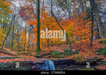 Vue sur Dundee Falls en automne, Beach City Wilderness Area, Ohio Banque D'Images