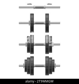 Haltère avec disques amovibles différents poids mis isolé sur fond blanc. Appareils d'haltérophilie, musculation, gymnase, crossfit, entraînement Illustration de Vecteur