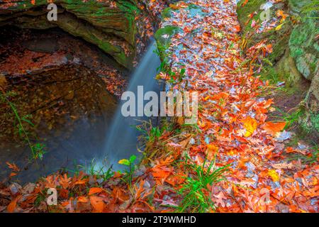 Vue sur Dundee Falls en automne, Beach City Wilderness Area, Ohio Banque D'Images