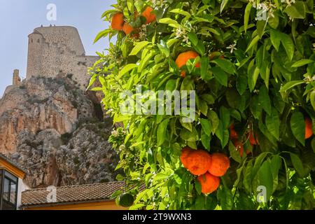 Le château d'Olvera, un château mauresque construit par les Arabes au 12e siècle sur un rocher stratégique dominant le village avec des oranges poussant sur un arbre à Olvera, en Espagne. Banque D'Images