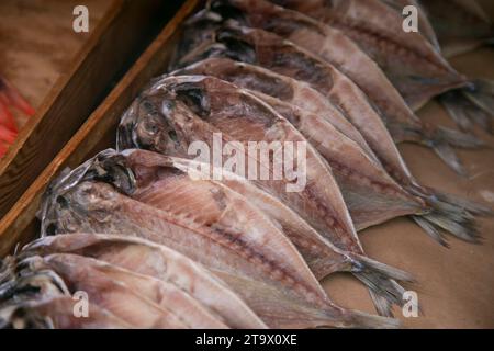 ITO, Japon ; 1 octobre 2023 : poisson dans un magasin de poisson séché à Ito City, Shizuoka, Japon. Banque D'Images