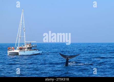 Un grand bateau naviguant dans un plan d'eau avec des gens debout sur le pont Banque D'Images