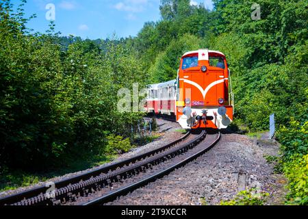 DESNA, TCHÉQUIE - JUILLET 02 : locomotive à crémaillère de la série T426.0, surnommée l'autrichienne, tchèque : Rakusanka, sur le chemin de fer à crémaillère entre Tanvald et Korenov, Tchéquie Banque D'Images