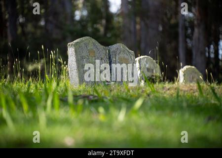 pierre tombale dans un cimetière, avec une grande pierre tombale en marbre. avec d'autres tombes et funérailles autour Banque D'Images