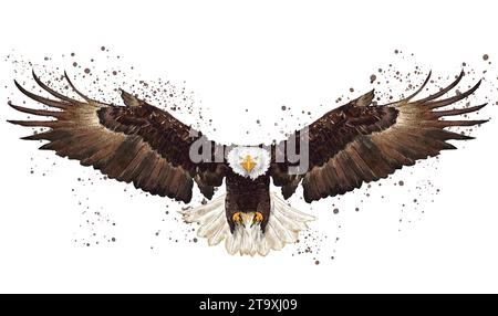 Belle illustration volante d'aigle à tête blanche Banque D'Images
