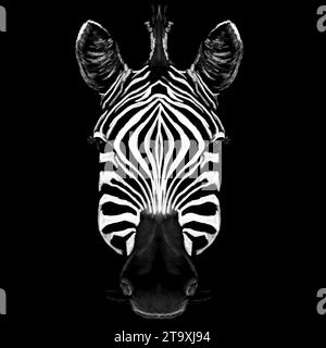 Tête de zèbre sur une illustration de fond noir Banque D'Images