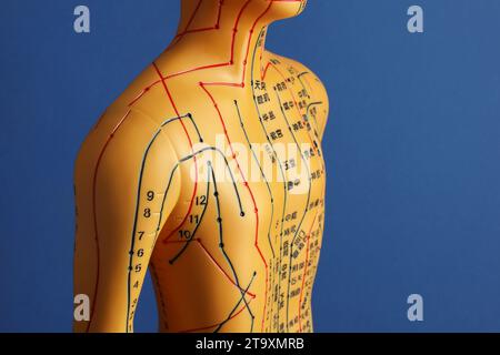 Acupuncture - médecine alternative. Modèle humain avec des points et des lignes sur fond bleu Banque D'Images