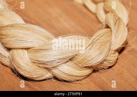 Gros plan de Braided Horse Hair Banque D'Images