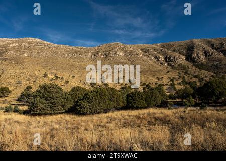 Murs s'élevant au-dessus de Dog Canyon dans le parc national des montagnes Guadalupe Banque D'Images