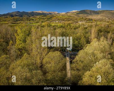 Vue aérienne de la passerelle simple du pont suspendu sur la rivière Segre en automne (Cerdanya, Catalogne, Espagne, Pyrénées) Banque D'Images