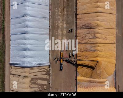 Vue de drone sur les piles de stockage de grain en cours de remplissage et de couverture Banque D'Images