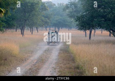 Safari en jeep en cours dans la jungle de Panna, Madhya Pradesh, Inde Banque D'Images