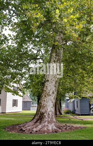 Le Somerset place State Historic site en Caroline du Nord Banque D'Images