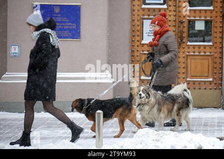 Non exclusive : KIEV, UKRAINE - 27 NOVEMBRE 2023 - Une femme promène des chiens pendant une chute de neige, Kiev, capitale de l'Ukraine. Banque D'Images