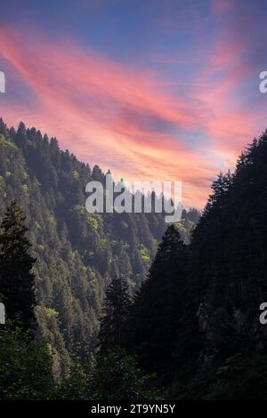 Zone montagneuse couverte de forêt. Forêts de la mer Noire. Tourné à Rize Turquie Banque D'Images