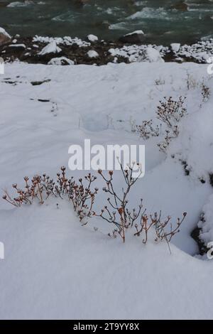 rivière lachung chu coulant à travers la vallée enneigée yumthang, belle vallée de montagne située près de la station de colline lachung dans le nord du sikkim, en inde Banque D'Images