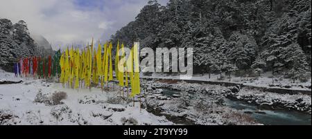 rivière lachung chu coulant à travers la vallée enneigée yumthang, belle vallée de montagne située près de la station de colline lachung dans le nord du sikkim, en inde Banque D'Images