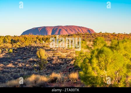 Une image lointaine d'Uluru en fin d'après-midi depuis la zone d'observation d'Ayers Rock Resort dans le territoire du Nord de l'Australie centrale Banque D'Images