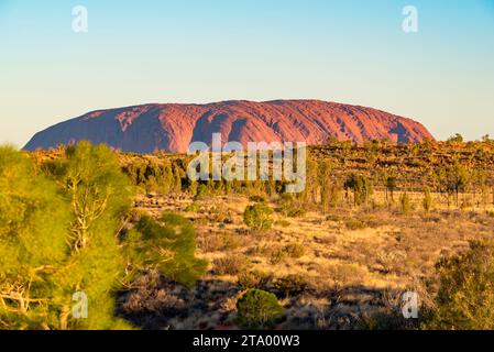 Une image lointaine d'Uluru en fin d'après-midi depuis la zone d'observation d'Ayers Rock Resort dans le territoire du Nord de l'Australie centrale Banque D'Images