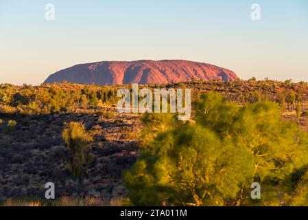 Une image lointaine d'Uluru en fin d'après-midi depuis la zone d'observation d'Ayers Rock Resort dans le territoire du Nord de l'Australie centrale Banque D'Images