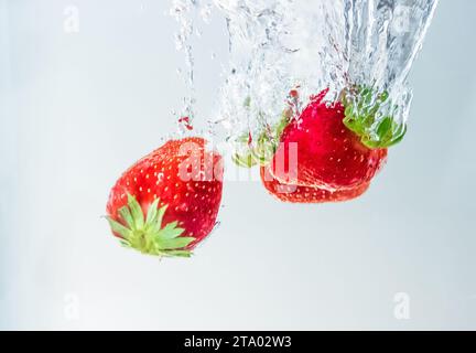 fraises rouges de fruits frais tombant dans l'eau avec éclaboussure sur fond blanc, fraise pour la santé et l'alimentation, concept de nutrition Banque D'Images